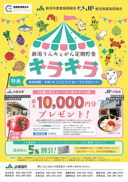 新潟うんめぇがん定期貯金 キラキラ